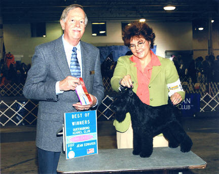 Shazzam Of Oz Arabian Night "Leila" (by Shazzam Of Oz Custom Made X Mtn High Night Flight) with Carol Ann Meitzler