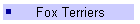 Fox Terriers