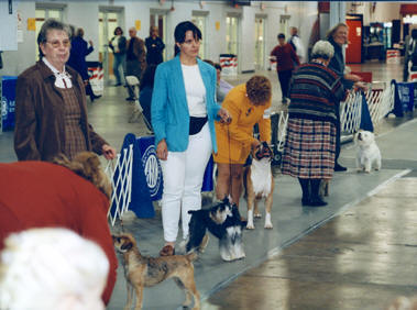 Shazzam Of Oz Basic Beauty (Basya) with Tanya Myers on "Best of Group" in "Bred By Exibitor" competition.