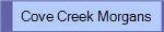 Cove Creek Morgans
