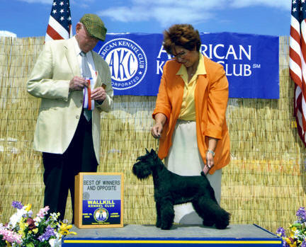 Shazzam Of Oz Arabian Night (Leila) with Carol Ann Meitzler