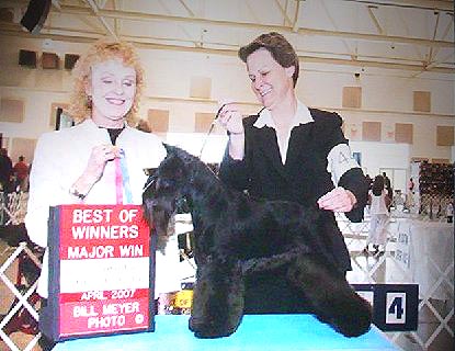 Estrada's Shazzam Mountain Brook (by Shazzam of Oz Custom Made X Mnt High Night Fligh). Bred by Tanya Myers, own by Katren Estrada.